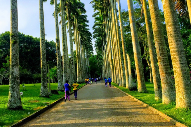 A Spiritual Journey: Ghana's Botanical Gardens